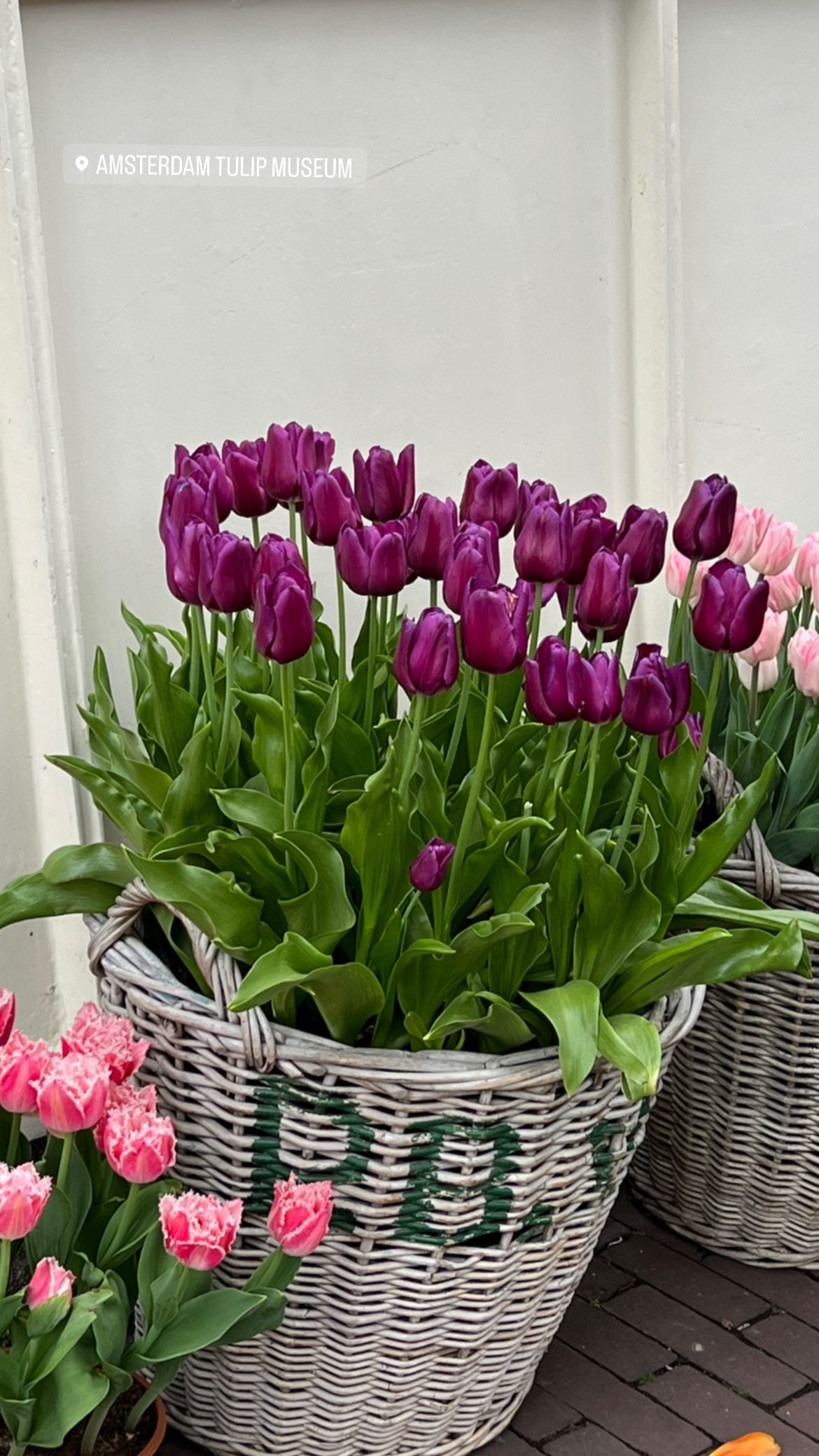 allygravemade instagram image archive image