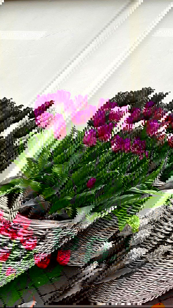 allygravemade image ~ Altpins