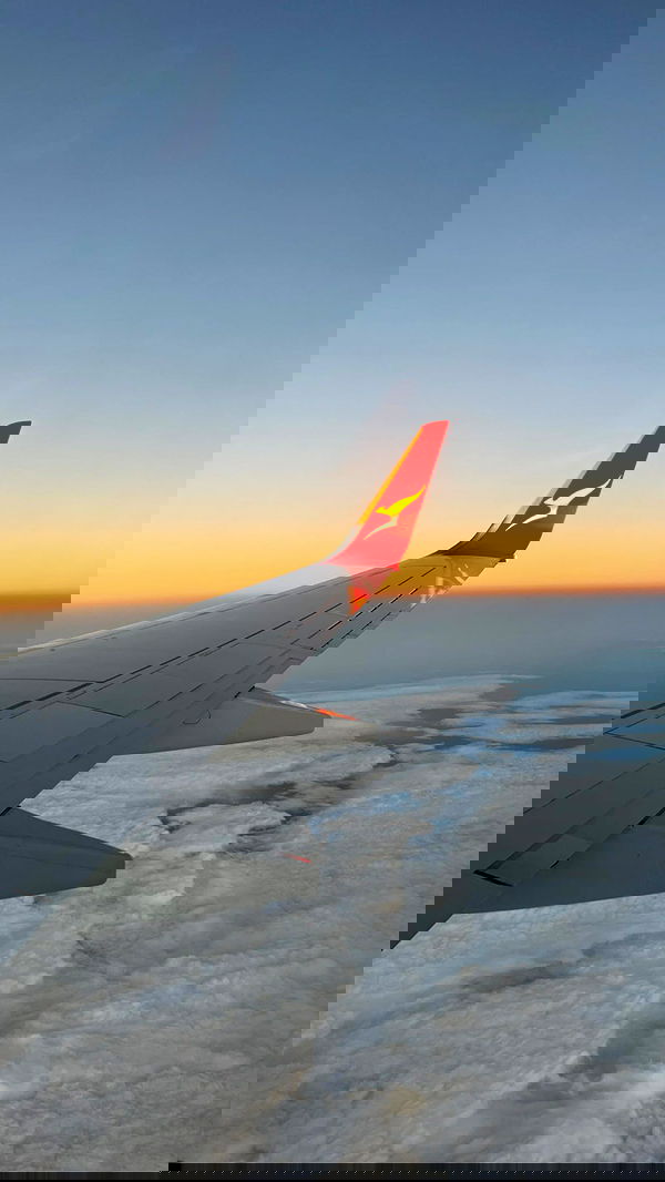 allygravemade image ~ Altpins