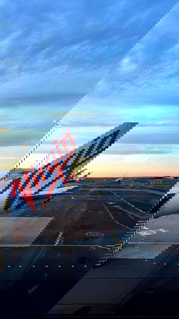 allygravemade image ~ Altpins