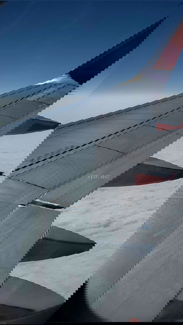 allygravemade image ~ Altpins