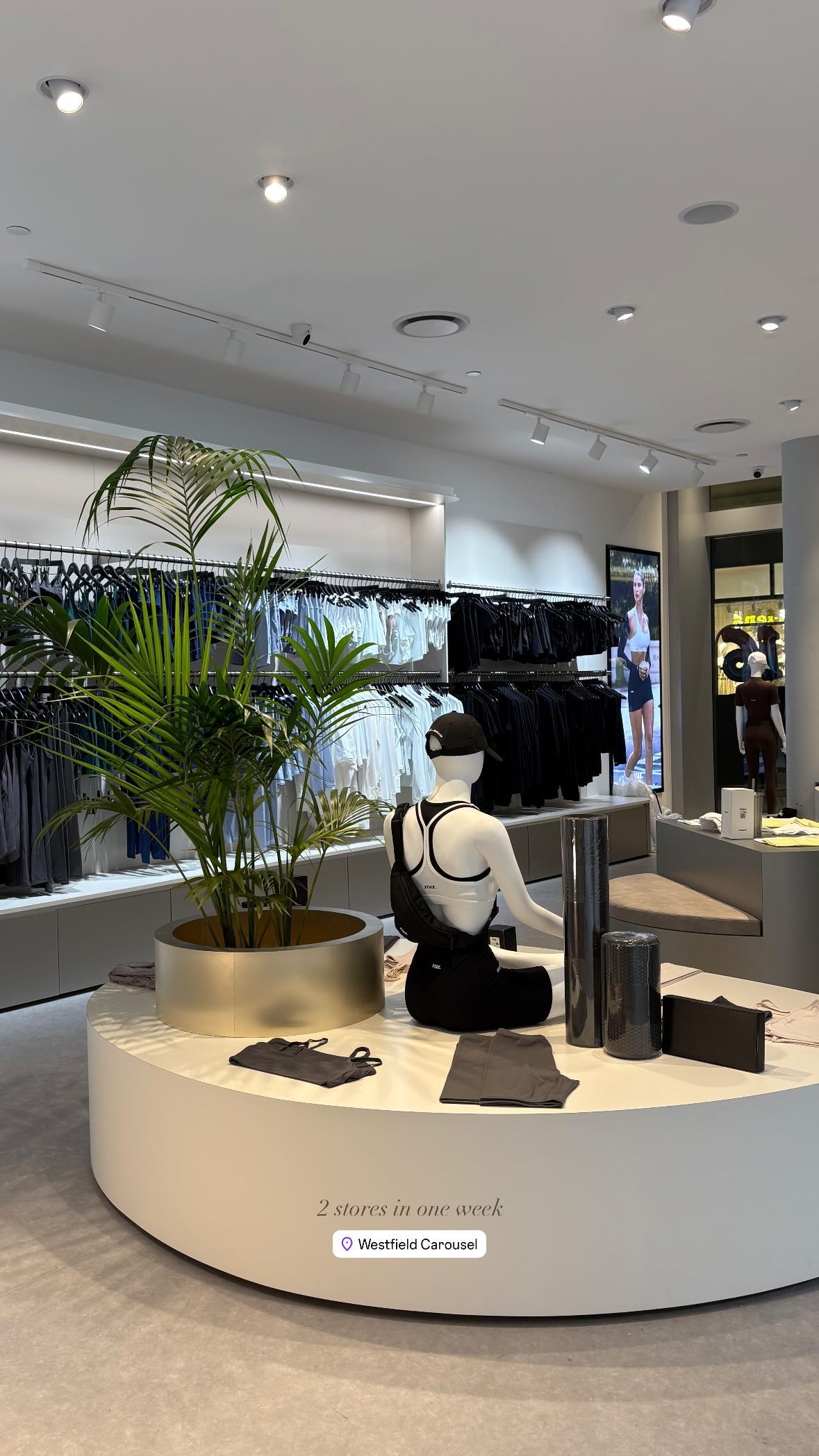 allygravemade instagram image archive image