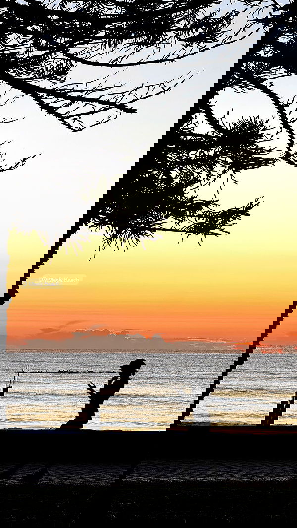 allygravemade image ~ Altpins