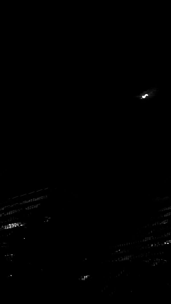 allygravemade image ~ Altpins