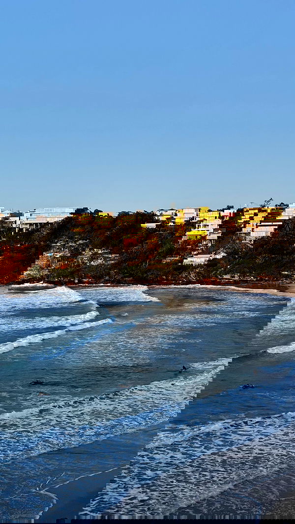 allygravemade image ~ Altpins