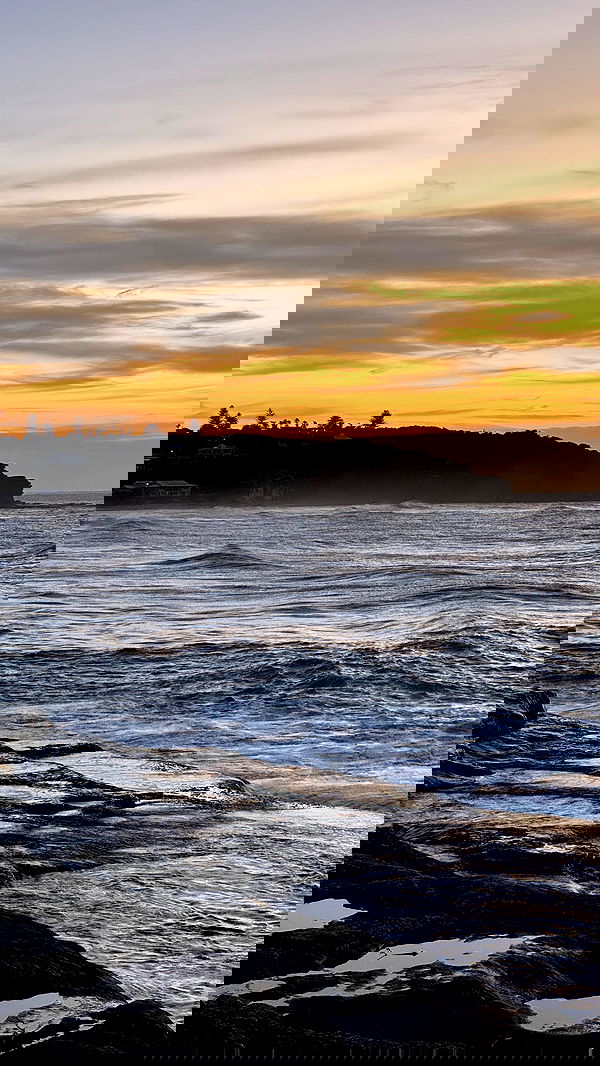 allygravemade image ~ Altpins