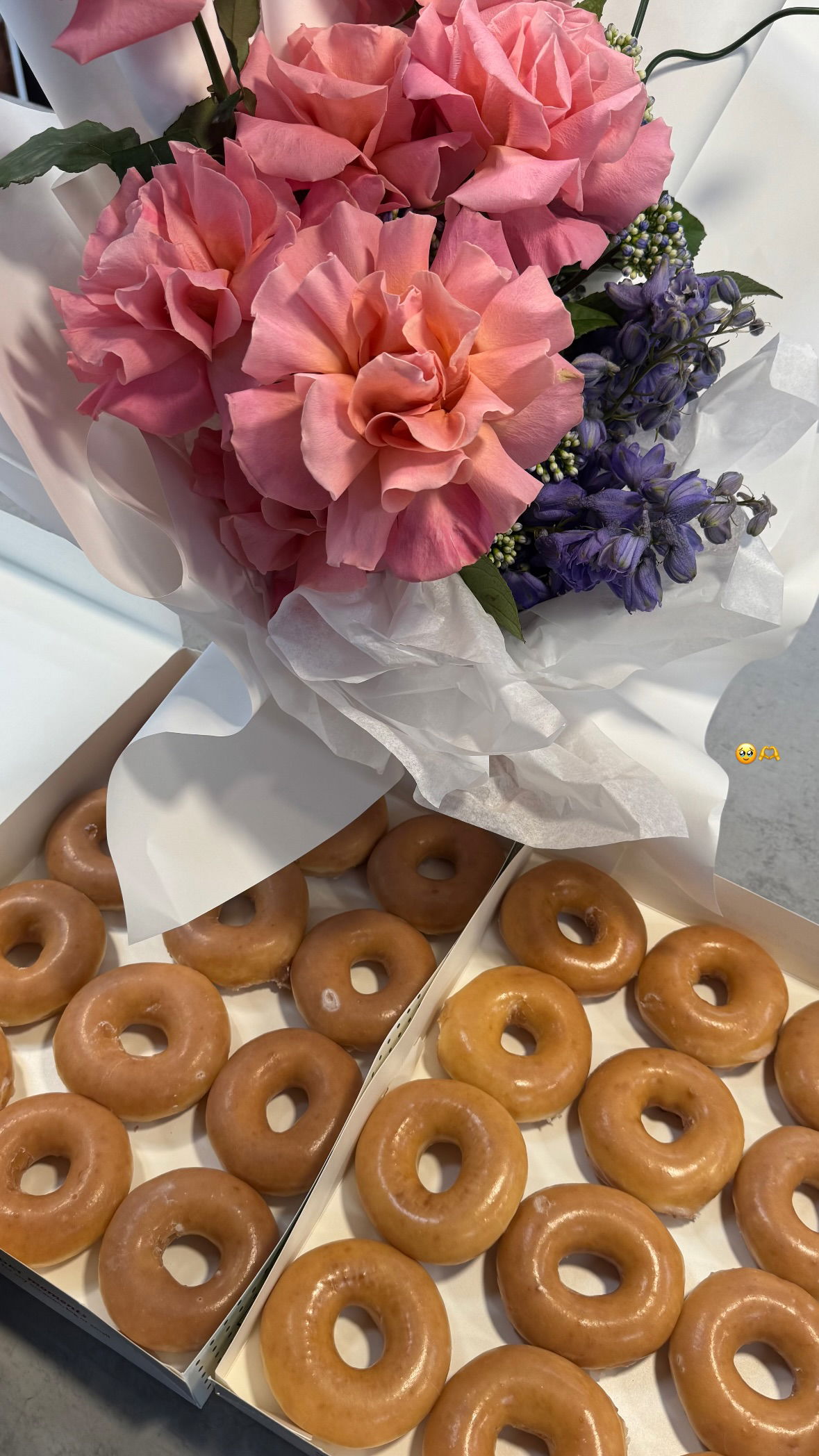 allygravemade instagram image archive image