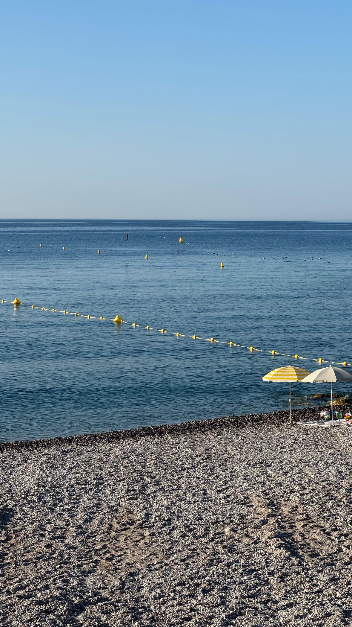 allygravemade instagram image archive image