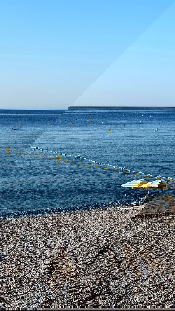 allygravemade image ~ Altpins