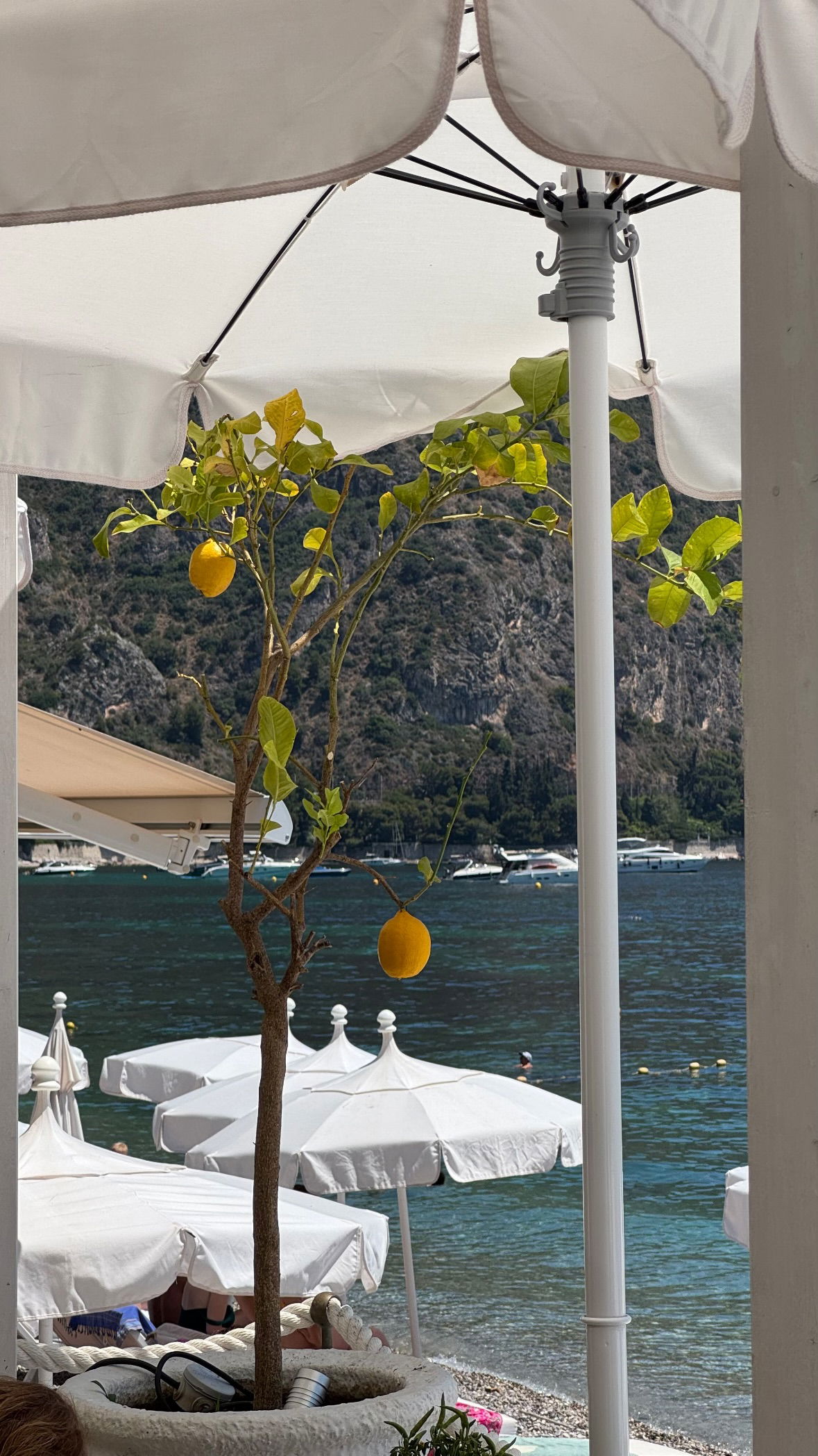 allygravemade instagram image archive image