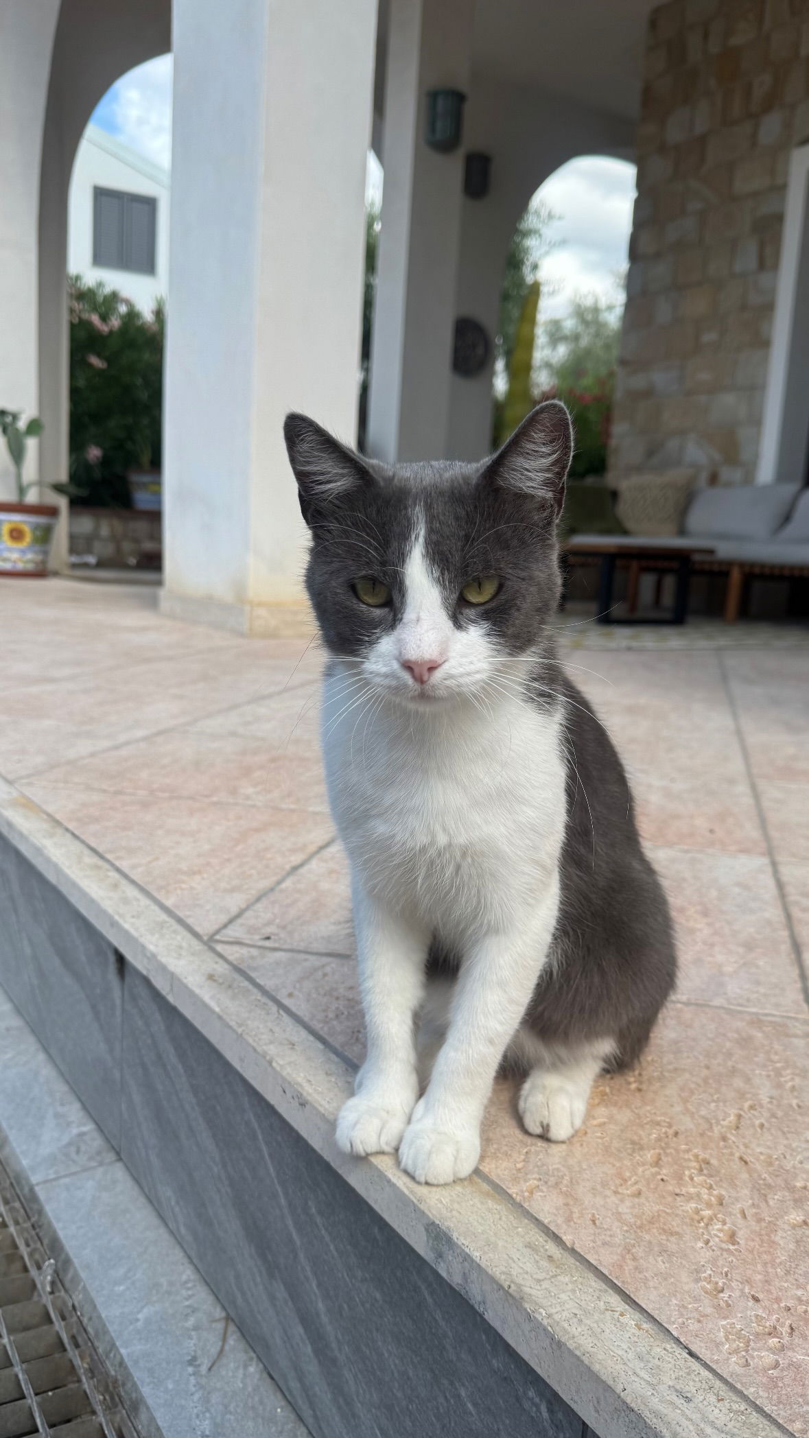 allygravemade instagram image archive image