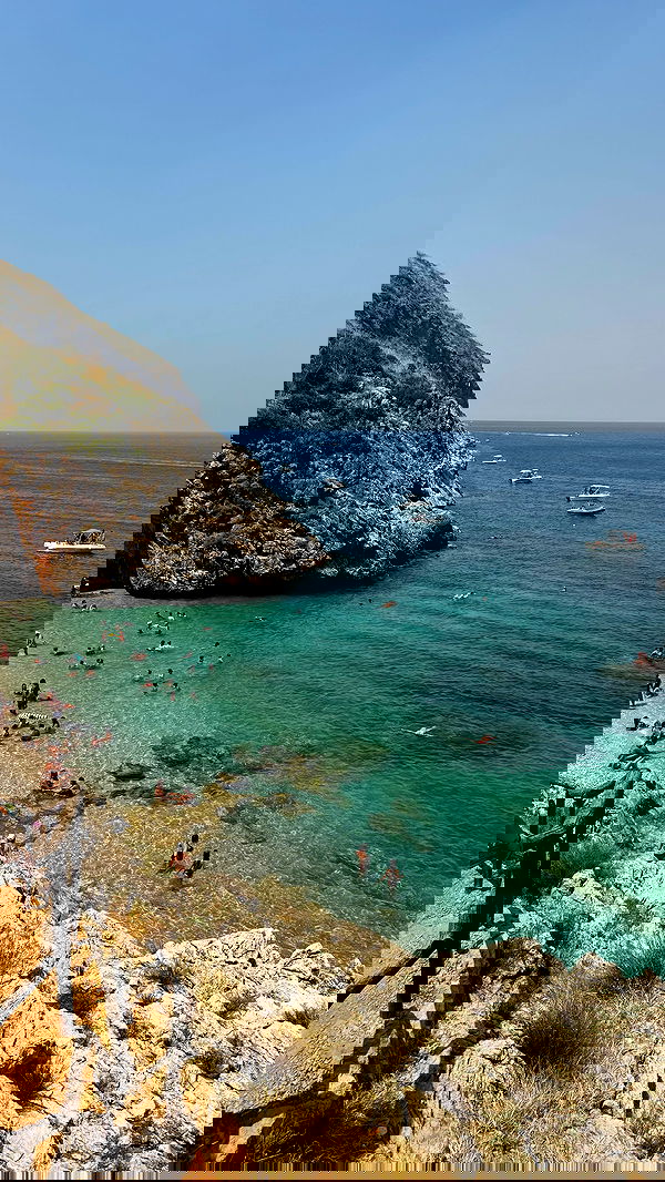 allygravemade image ~ Altpins