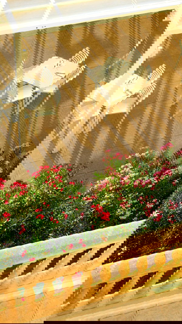 allygravemade image ~ Altpins