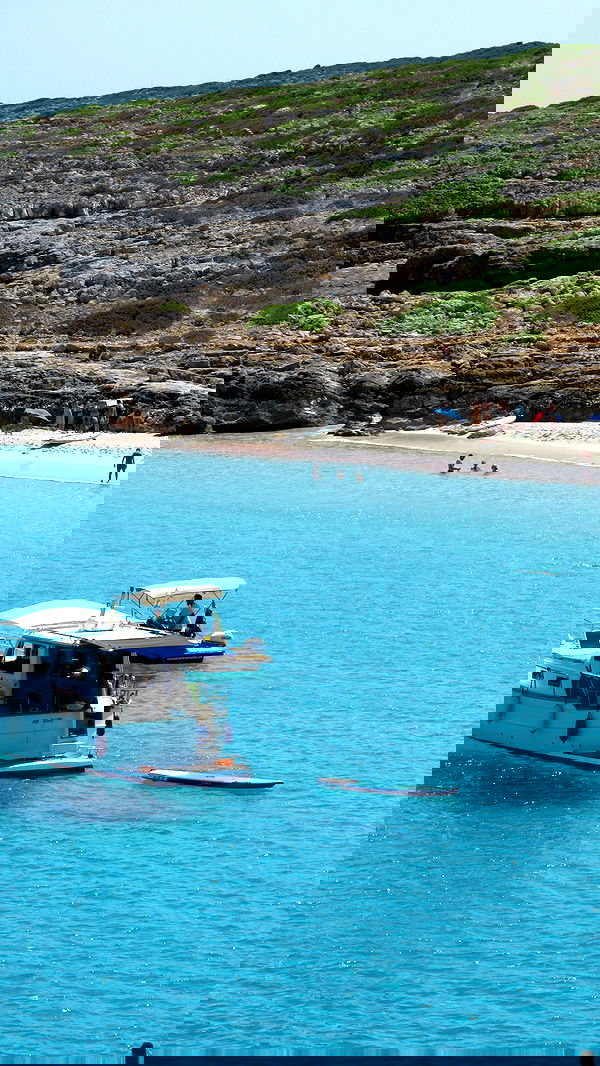 allygravemade image ~ Altpins