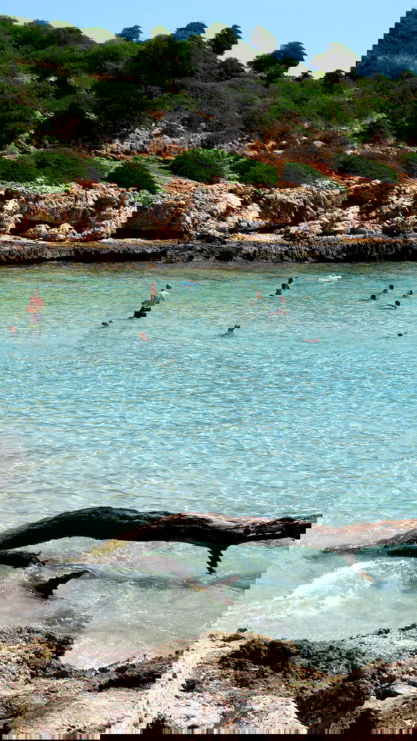 allygravemade image ~ Altpins