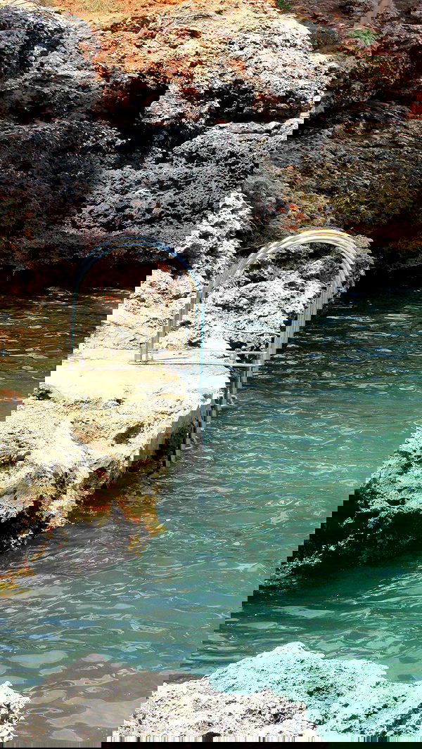 allygravemade image ~ Altpins