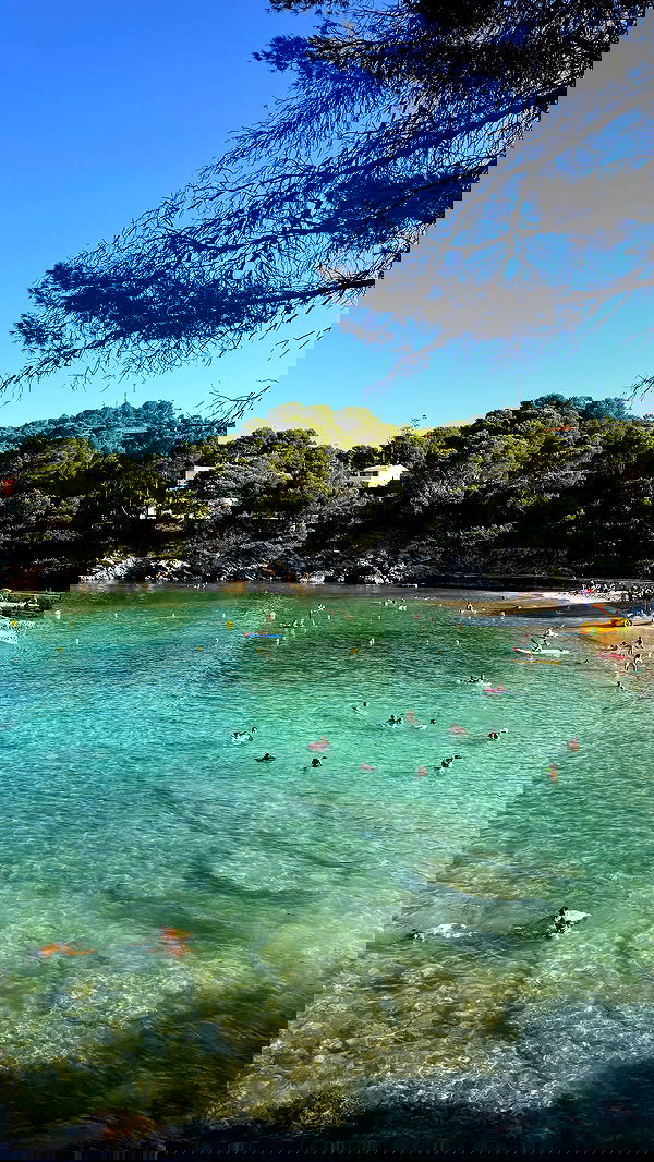 allygravemade image ~ Altpins