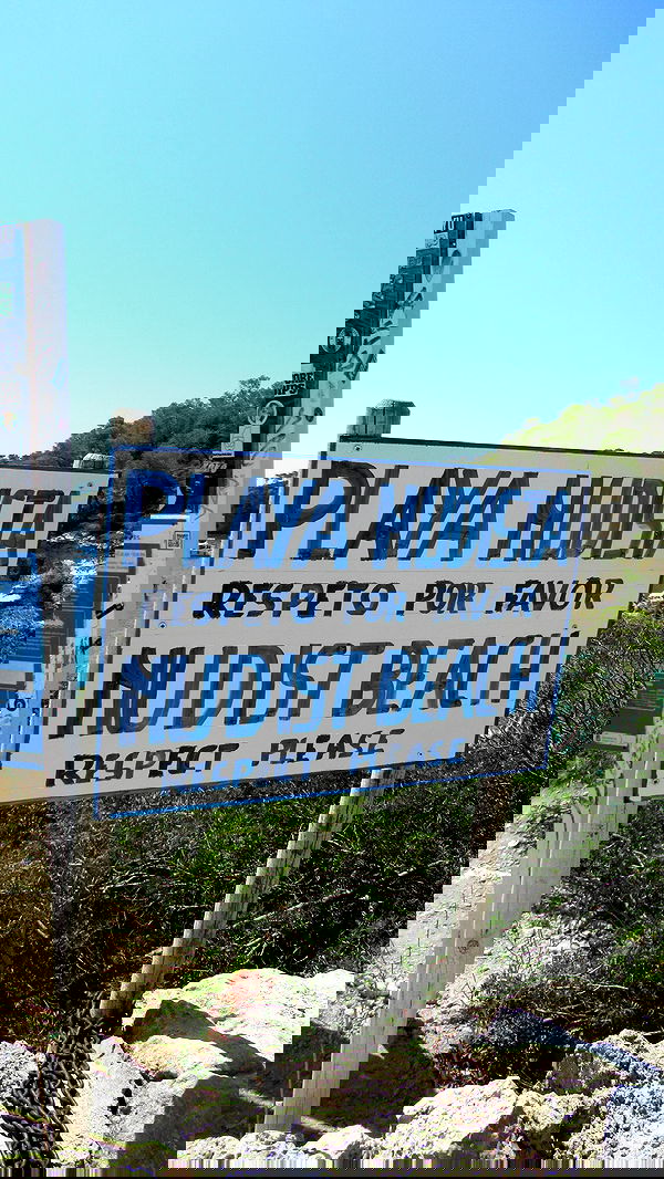 allygravemade image ~ Altpins