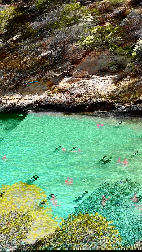 allygravemade image ~ Altpins