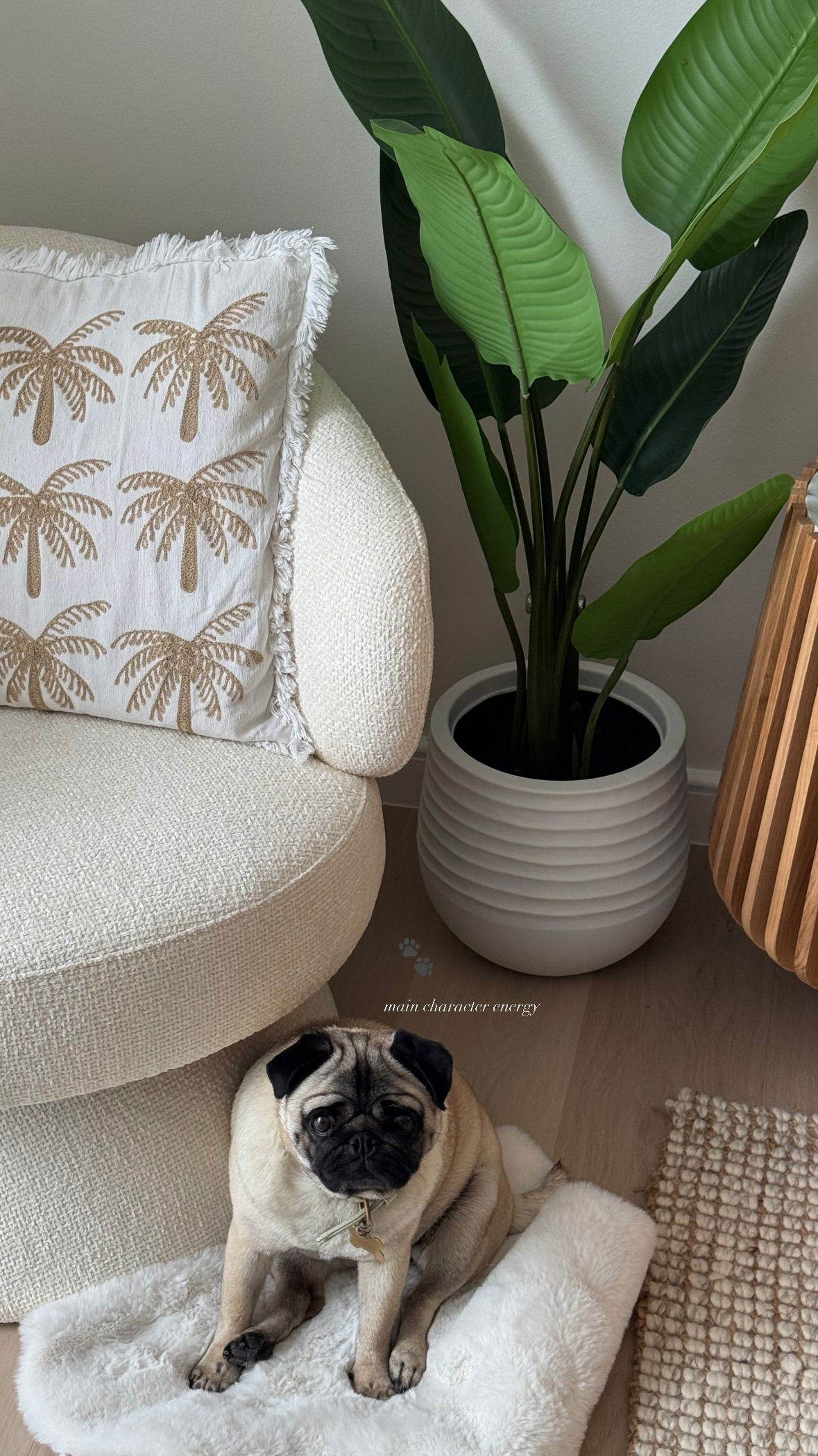 allygravemade instagram image archive image