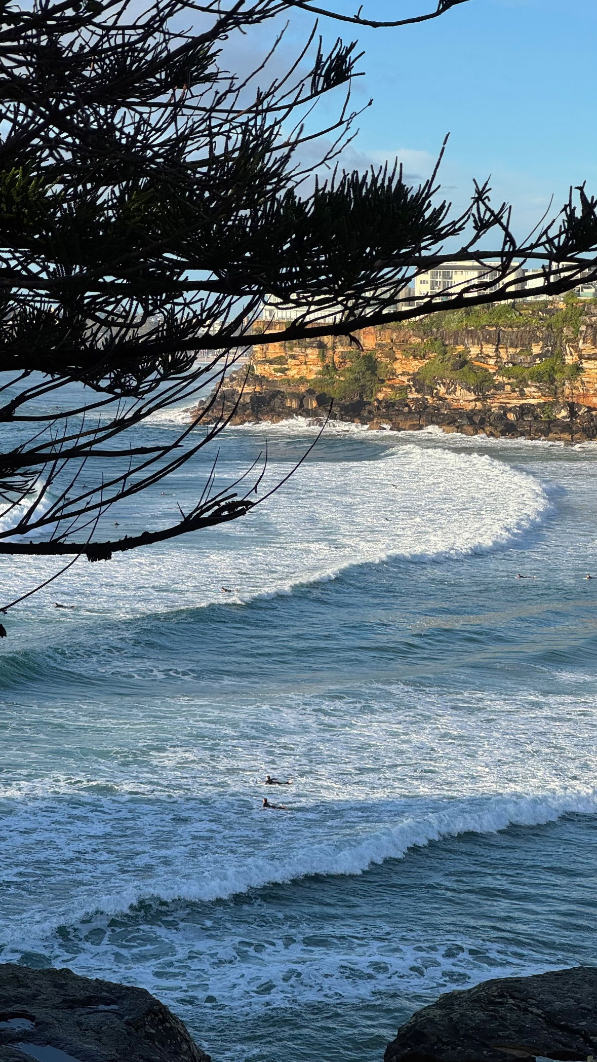 allygravemade instagram image archive image