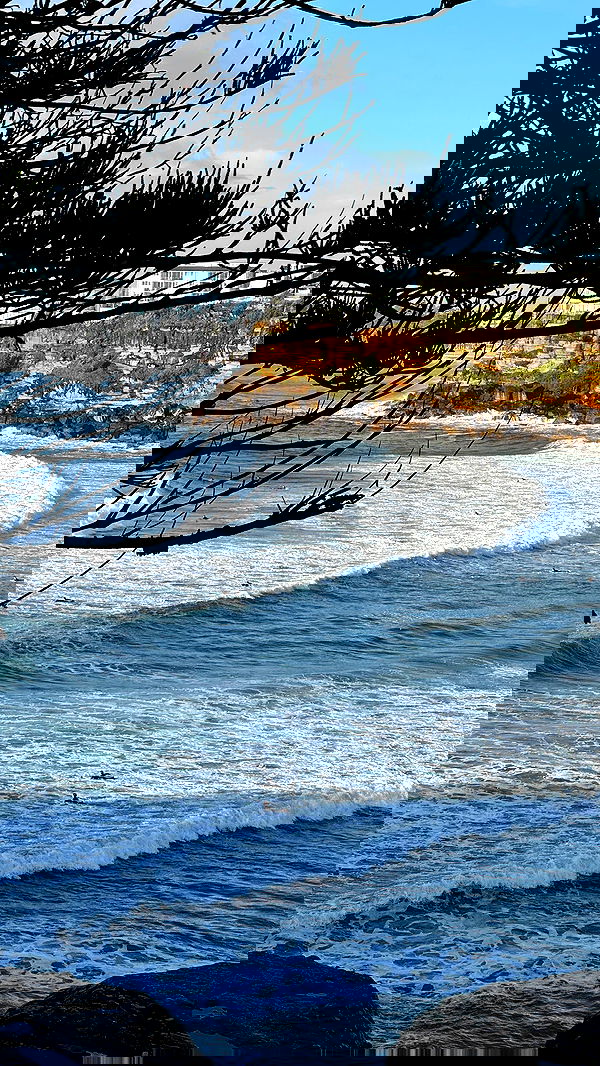 allygravemade image ~ Altpins