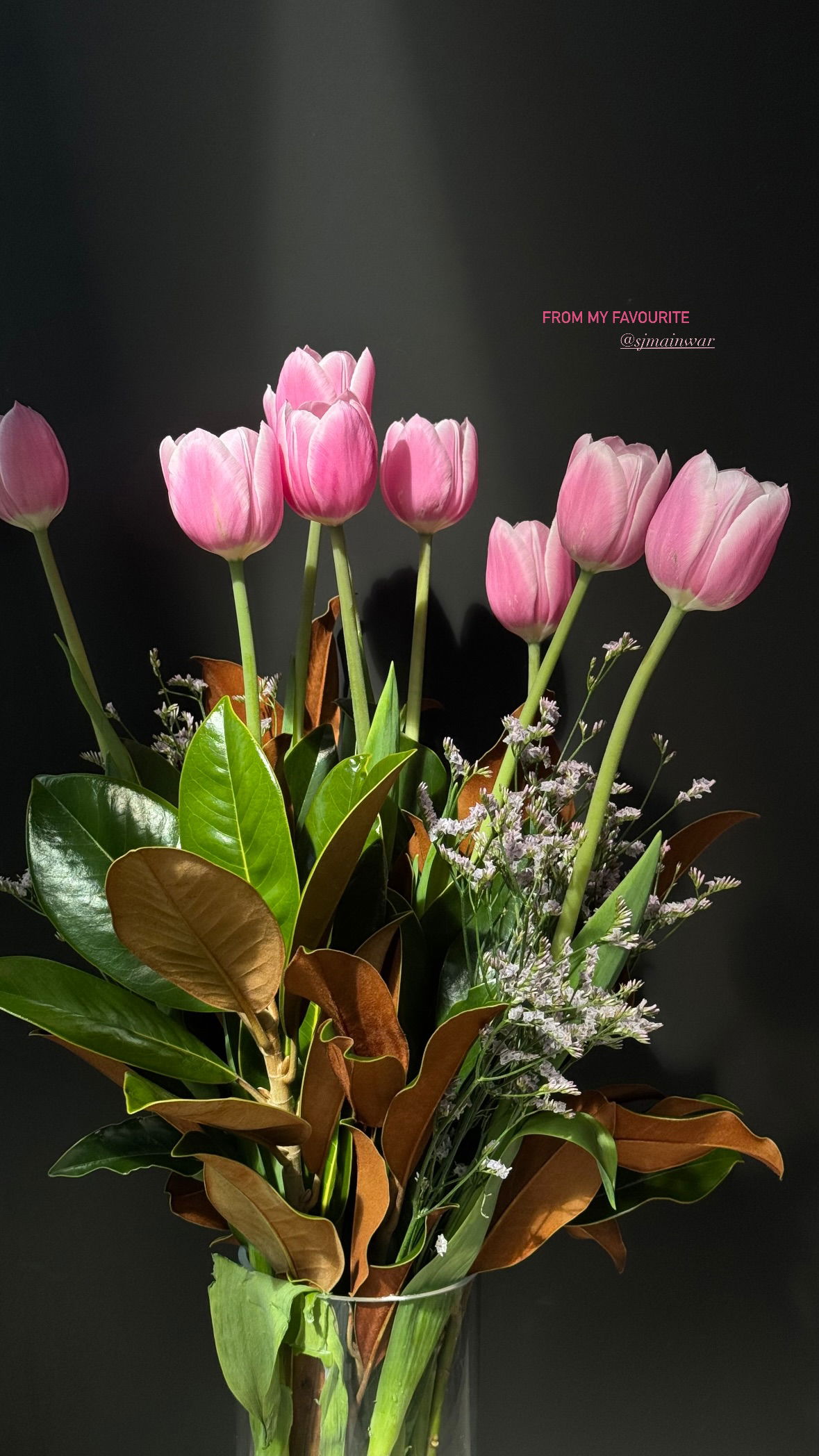 allygravemade instagram image archive image