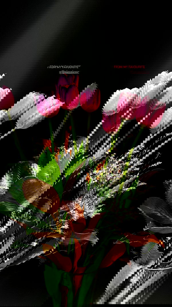 allygravemade image ~ Altpins