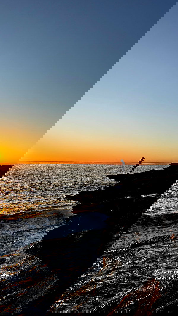 allygravemade image ~ Altpins