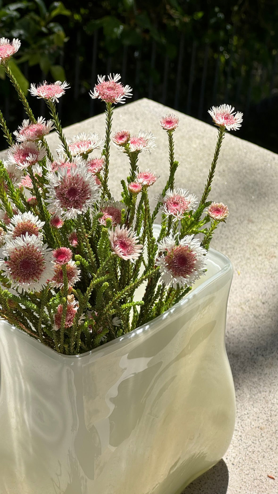 allygravemade instagram image archive image