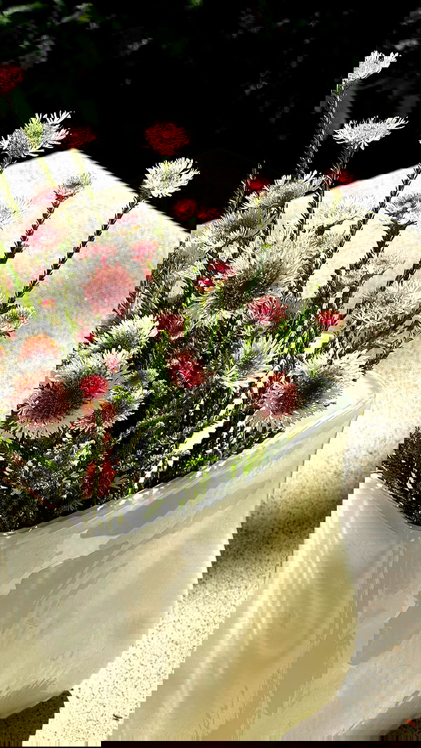 allygravemade image ~ Altpins