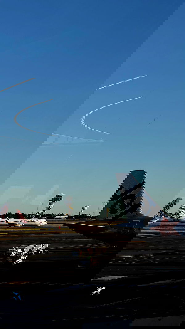 allygravemade image ~ Altpins