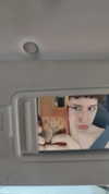 alma.almog Altpins Profile Picture