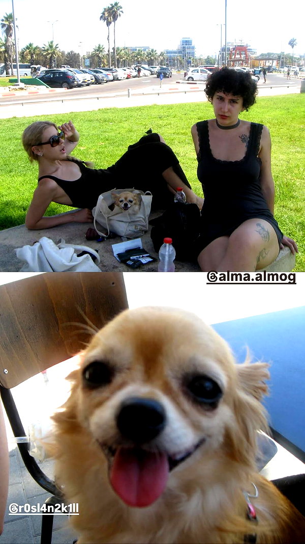 alma.almog instagram image archive image