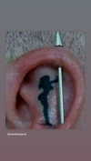 alma.almog Altpins Profile Picture