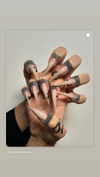 alma.almog Altpins Profile Picture