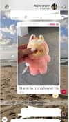 alma.almog Altpins Profile Picture