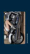 alma.almog Altpins Profile Picture