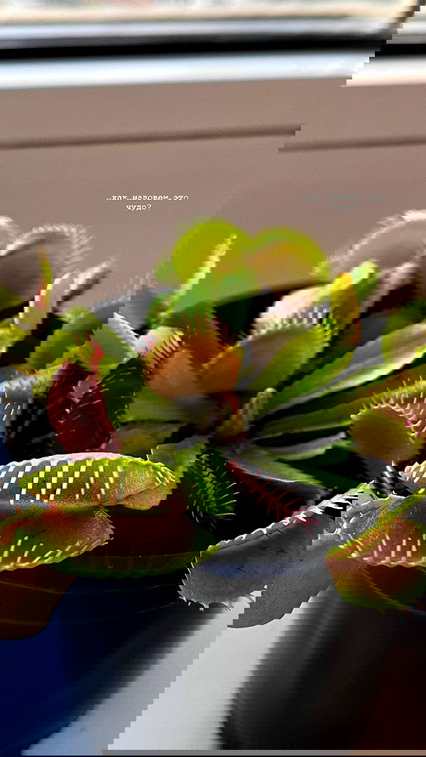 alskohope alskohope archive image