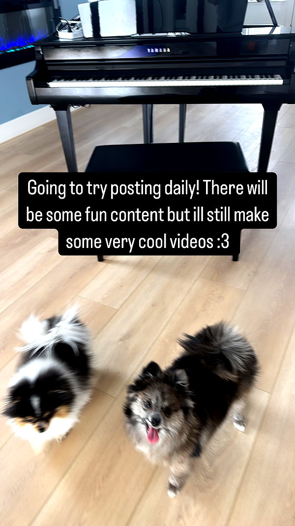 alyri_tv instagram image archive image