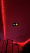 alyri_tv Altpins Profile Picture