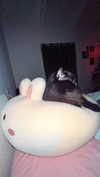 amellliiaa Altpins Profile Picture