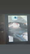 amibp_ Altpins Profile Picture