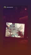 amibp_ Altpins Profile Picture