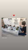 amit.yaron Altpins Profile Picture