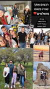 amit.yaron Altpins Profile Picture