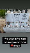 amit.yaron Altpins Profile Picture