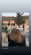 amit.yaron Altpins Profile Picture