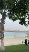 amit.yaron Altpins Profile Picture