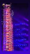 amit.yaron Altpins Profile Picture